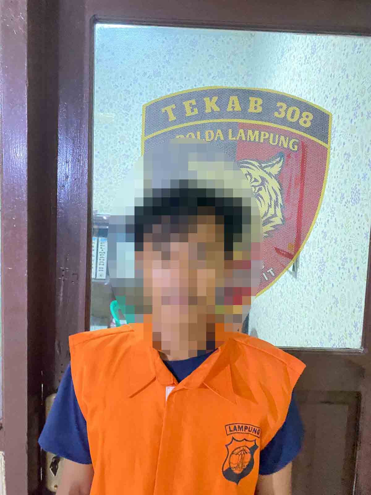 Pelaku RR