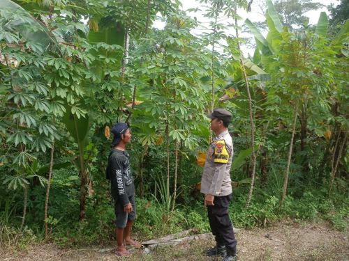 Polisi Sambangi Petani Singkong di Sragi